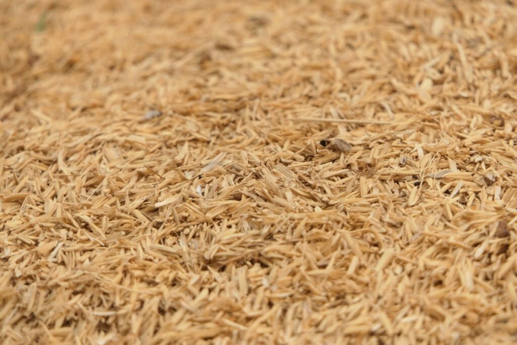 Brown rice – GF