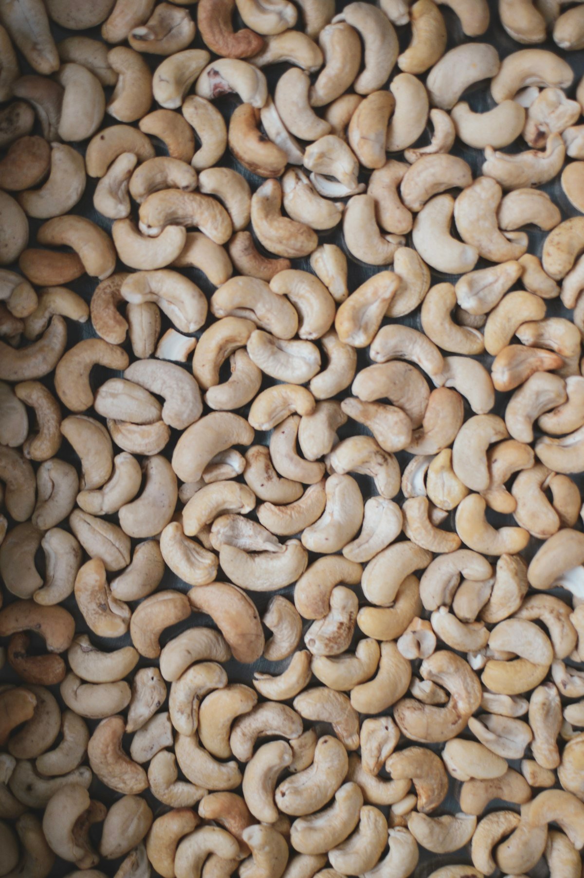 Organic Cashew Nuts – bulk organic product supplied by Pulsbio