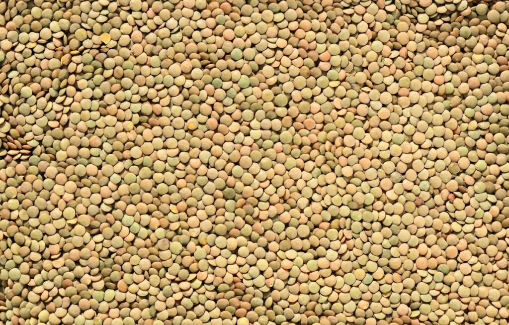 Lentils (all colors)