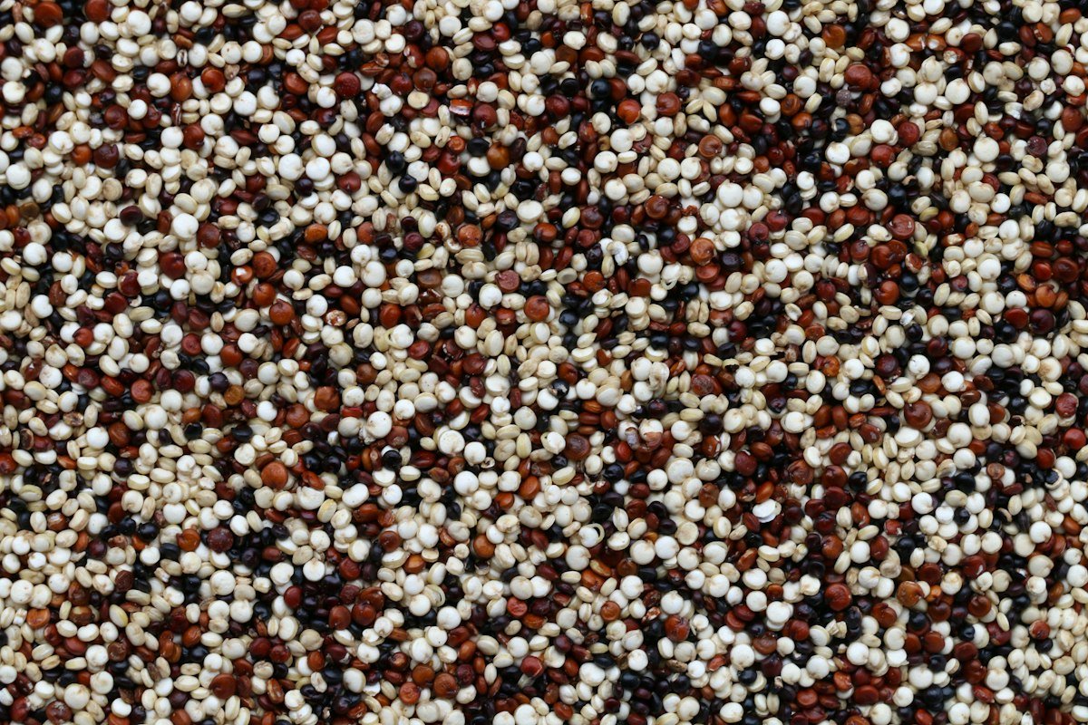 Organic Quinoa – bulk organic product supplied by Pulsbio