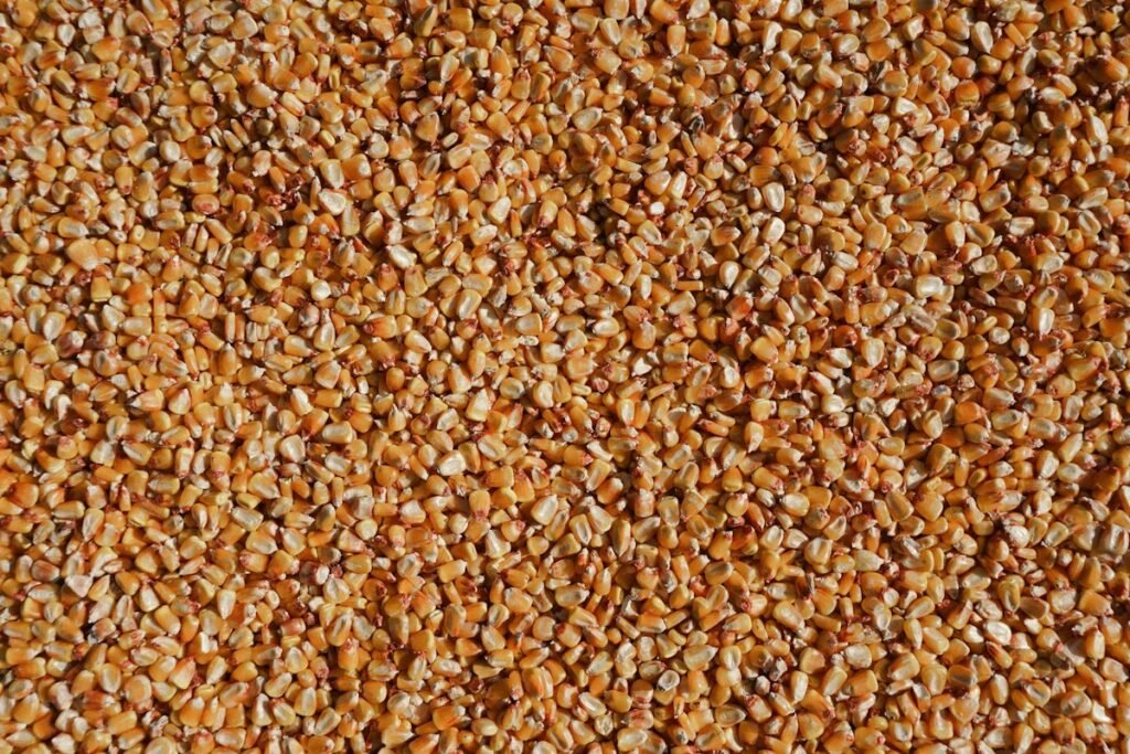 Whole millet – GF